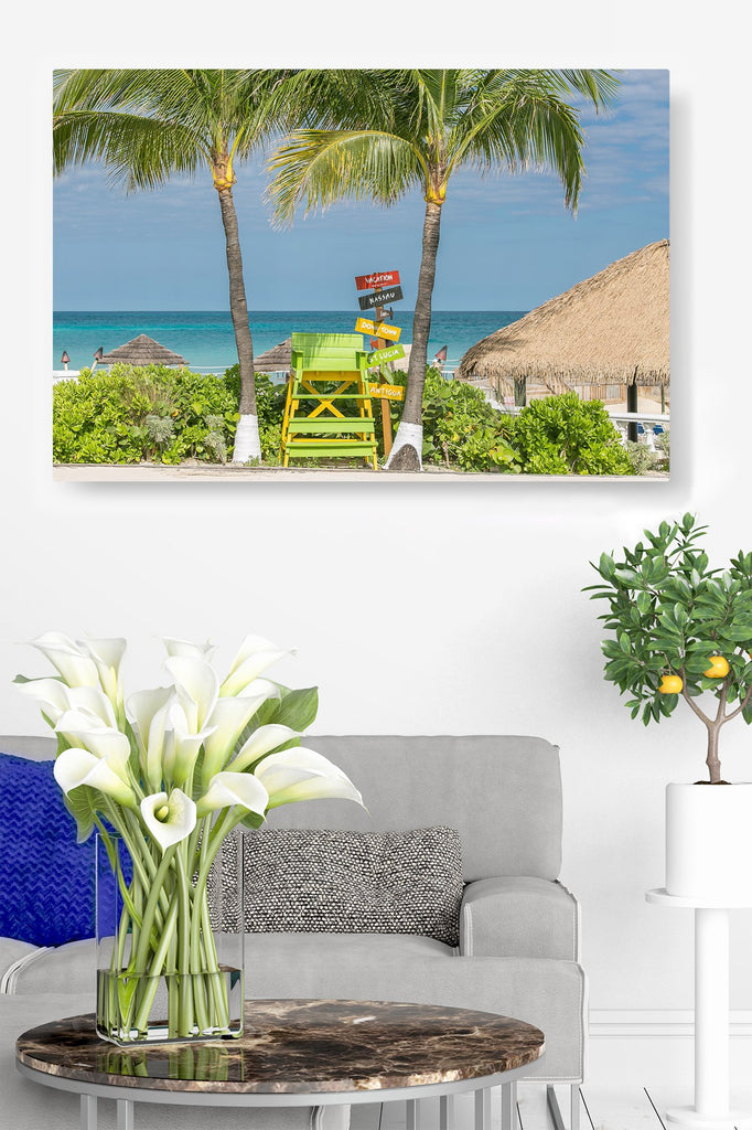 Caribbean Ocean and Palm Tree Views