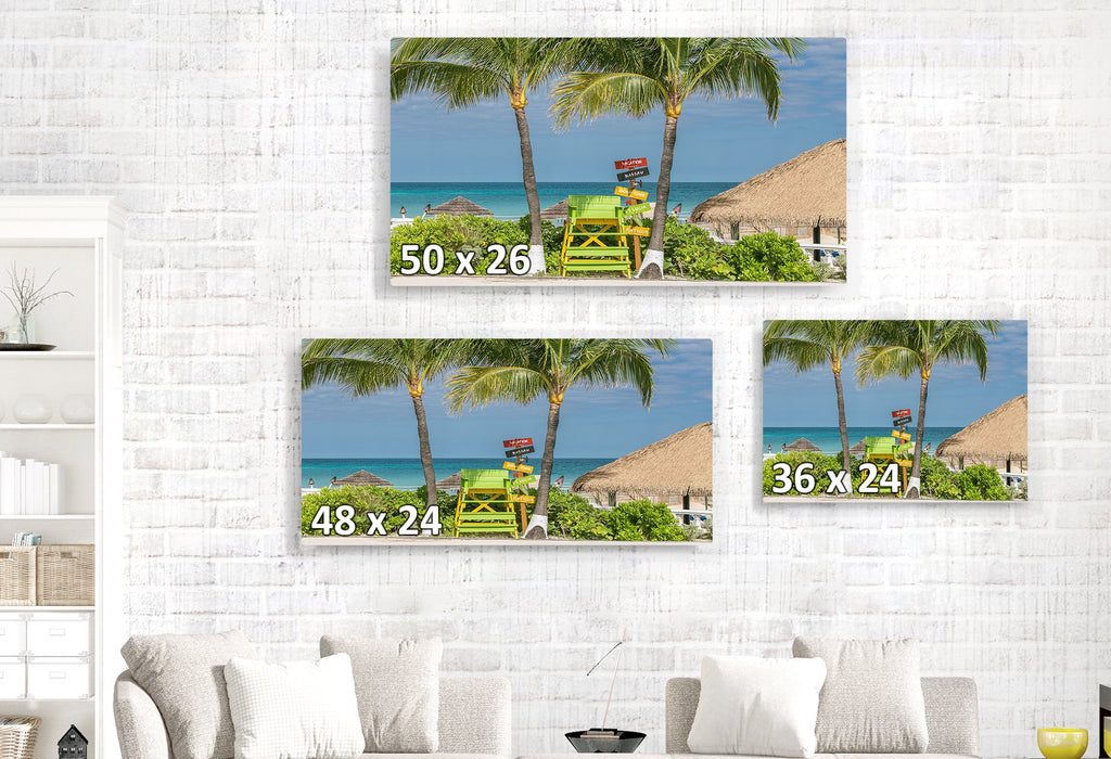 Caribbean Ocean and Palm Tree Views