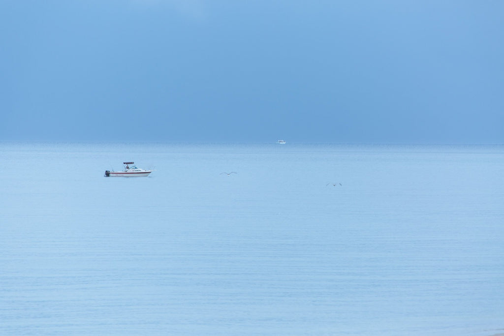 birds     boat     misty     water     Wall Art     waiting room     relaxing     prints     Office     ocean     cool blue     cool     colorful     Canvas     blue sky     blue skies     blue     beach     art