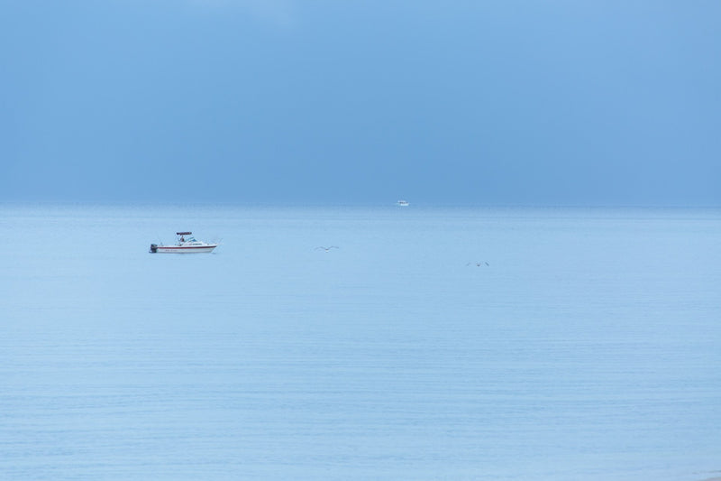 birds     boat     misty     water     Wall Art     waiting room     relaxing     prints     Office     ocean     cool blue     cool     colorful     Canvas     blue sky     blue skies     blue     beach     art