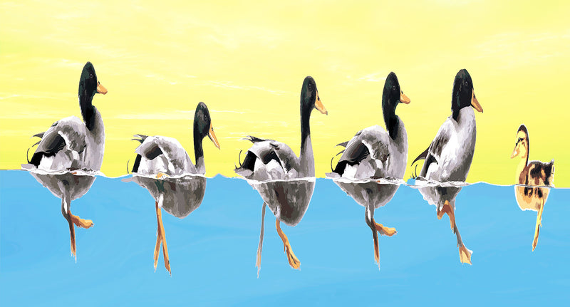 Duck Stop!