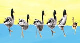 Duck Stop!