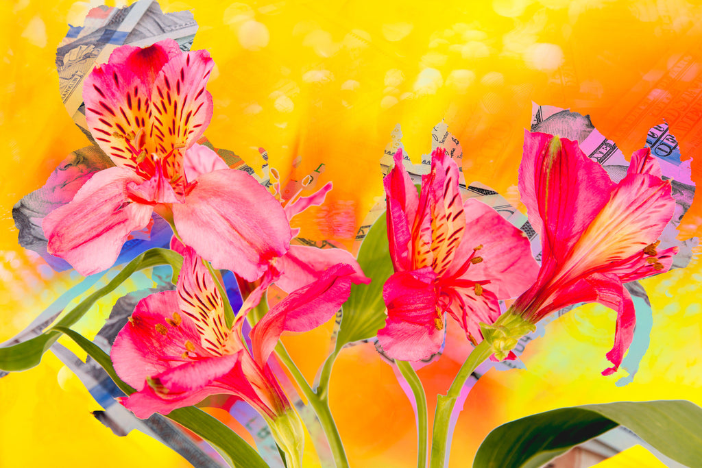 Wall Art     waiting room     vibrant     shiny     prints     office art     Office     money     metal print     iris     flowers     floral     financial office     financial     currency     colorful     checkup     canvas print     Canvas     bills     benjamins     benjamin franklin     art