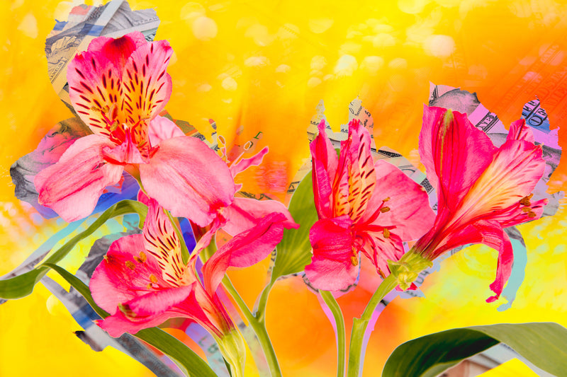 Wall Art     waiting room     vibrant     shiny     prints     office art     Office     money     metal print     iris     flowers     floral     financial office     financial     currency     colorful     checkup     canvas print     Canvas     bills     benjamins     benjamin franklin     art