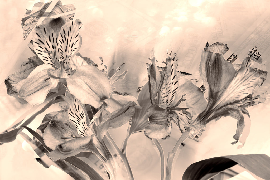 sepia,      Wall Art     waiting room     vibrant     shiny     prints     office art     Office     money     metal print     iris     flowers     floral     financial office     financial     currency     colorful     checkup     canvas print     Canvas     bills     benjamins     benjamin franklin     art