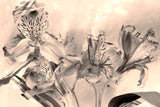 sepia,      Wall Art     waiting room     vibrant     shiny     prints     office art     Office     money     metal print     iris     flowers     floral     financial office     financial     currency     colorful     checkup     canvas print     Canvas     bills     benjamins     benjamin franklin     art