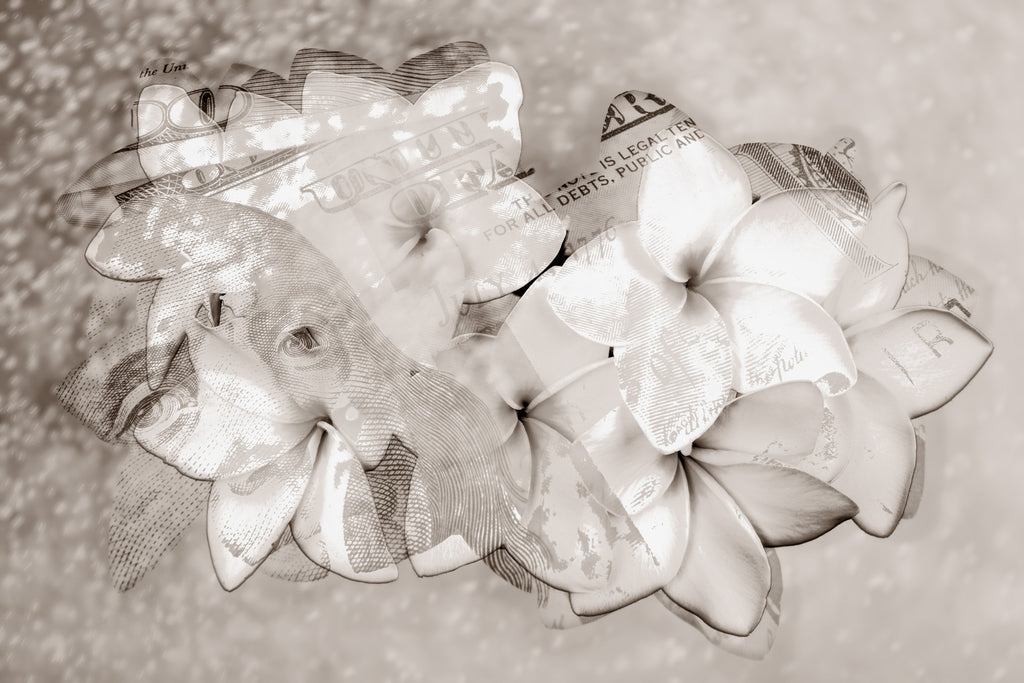 BLACK & WHITE,      flower     MAGNOLIA     Wall Art     waiting room     us currency     stock market     shimmery     prints     office art     Office     money     metal print     investments     investing     flowers     floral     financial office     financial markets     financial     currency     colorful     canvas print     Canvas     bright lights     bills     benjamins     benjamin franklin     benjamin     art     100 dollar