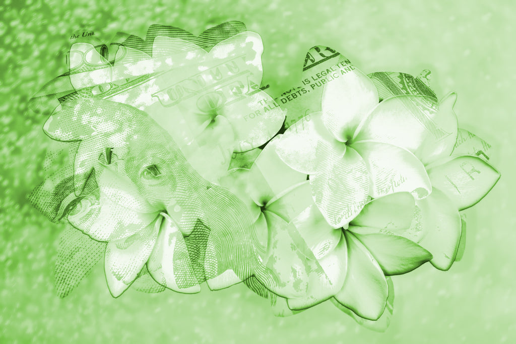 GREEN,      flower     MAGNOLIA     Wall Art     waiting room     us currency     stock market     shimmery     prints     office art     Office     money     metal print     investments     investing     flowers     floral     financial office     financial markets     financial     currency     colorful     canvas print     Canvas     bright lights     bills     benjamins     benjamin franklin     benjamin     art     100 dollar