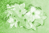 GREEN,      flower     MAGNOLIA     Wall Art     waiting room     us currency     stock market     shimmery     prints     office art     Office     money     metal print     investments     investing     flowers     floral     financial office     financial markets     financial     currency     colorful     canvas print     Canvas     bright lights     bills     benjamins     benjamin franklin     benjamin     art     100 dollar