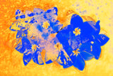 BLUE ON YELLOW,      flower     MAGNOLIA     Wall Art     waiting room     us currency     stock market     shimmery     prints     office art     Office     money     metal print     investments     investing     flowers     floral     financial office     financial markets     financial     currency     colorful     canvas print     Canvas     bright lights     bills     benjamins     benjamin franklin     benjamin     art     100 dollar