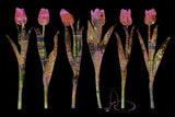 tulip     stethoscope     Wall Art     waiting room     vibrant     tulips     surgical center     skyline     relaxing     prints     physician office art     physician     PEACEFUL     office art     Office     modern     metal print     metal     medical staff     medical offrice     flowers     floral     doctors office     cutout     colorful     city lights     city     canvas print     Canvas     bright airy     bright     art     airy