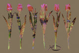 tulip     stethoscope     Wall Art     waiting room     vibrant     tulips     surgical center     skyline     relaxing     prints     physician office art     physician     PEACEFUL     office art     Office     modern     metal print     metal     medical staff     medical offrice     flowers     floral     doctors office     cutout     colorful     city lights     city     canvas print     Canvas     bright airy     bright     art     airy