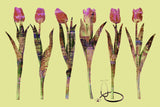 tulip     stethoscope     Wall Art     waiting room     vibrant     tulips     surgical center     skyline     relaxing     prints     physician office art     physician     PEACEFUL     office art     Office     modern     metal print     metal     medical staff     medical offrice     flowers     floral     doctors office     cutout     colorful     city lights     city     canvas print     Canvas     bright airy     bright     art     airy