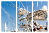A Great Day for Fishing! - Triptych 3 Panel