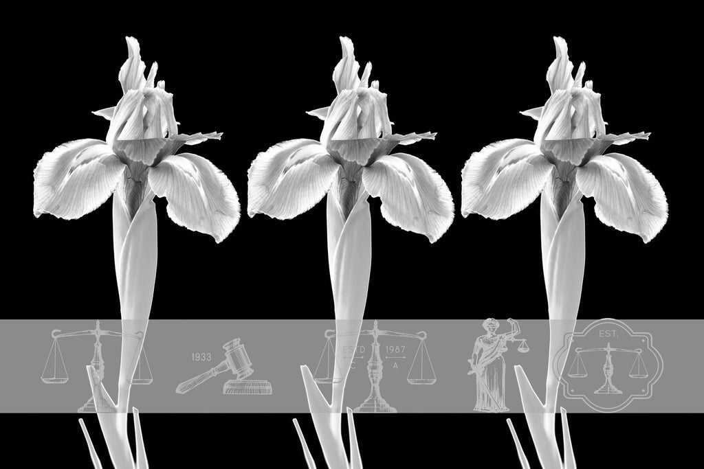 black and white  Wall Art waiting room transparency scales of justice scales Office modern metal legal scales legal icons legal graphic legal balance legal lawyer office law justice is blind justice Iris graphic flowers colorful Canvas bright blue balance art airy