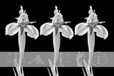 black and white  Wall Art waiting room transparency scales of justice scales Office modern metal legal scales legal icons legal graphic legal balance legal lawyer office law justice is blind justice Iris graphic flowers colorful Canvas bright blue balance art airy
