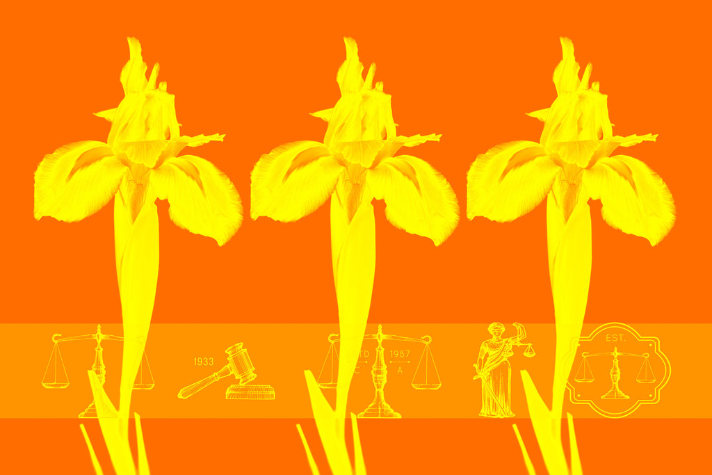 Wall Art waiting room transparency scales of justice scales Office modern metal legal scales legal icons legal graphic legal balance legal lawyer office law justice is blind justice Iris graphic flowers colorful Canvas bright blue balance art airy orange yellow