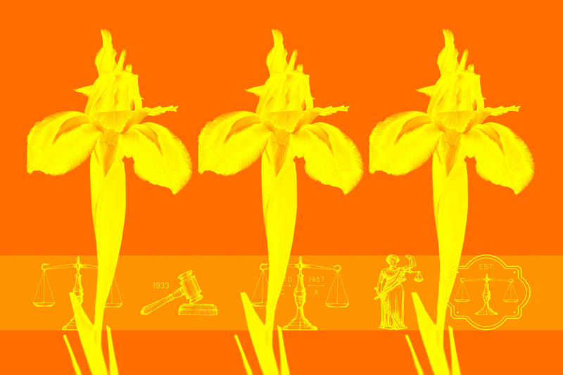Wall Art waiting room transparency scales of justice scales Office modern metal legal scales legal icons legal graphic legal balance legal lawyer office law justice is blind justice Iris graphic flowers colorful Canvas bright blue balance art airy orange yellow