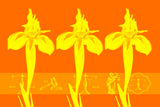Wall Art waiting room transparency scales of justice scales Office modern metal legal scales legal icons legal graphic legal balance legal lawyer office law justice is blind justice Iris graphic flowers colorful Canvas bright blue balance art airy orange yellow