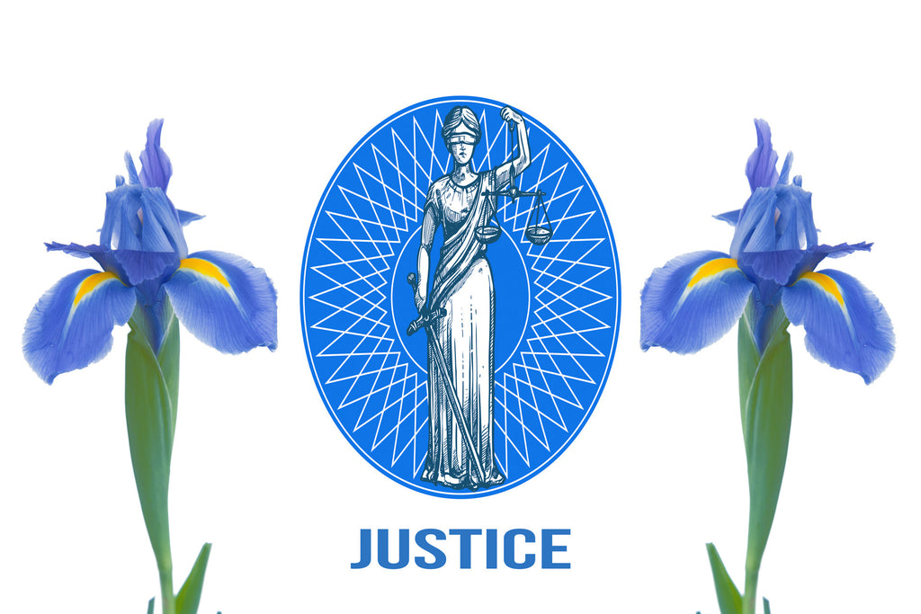 Wall Art     waiting room     Office     metal     legal graphic     law icons     law     justice is blind     justice     iris     icons     flowers     Canvas     bright     Blue     balance     art