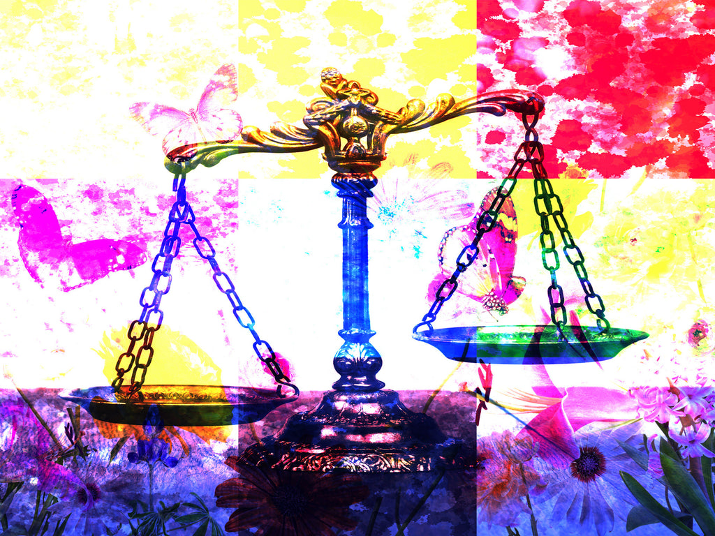 flowers butterflies scales of justice scale balance Wall Art waiting room Office modern metal legal graphic legal law colorful Canvas bright art
