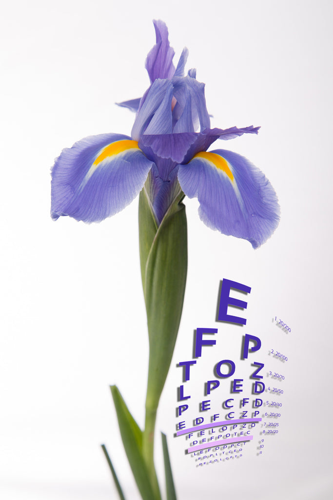 Wall Art waiting room snellen Optometry Optometrist Ophthalmologist On White Office metal iris flowers flower Eyes eye chart Canvas art