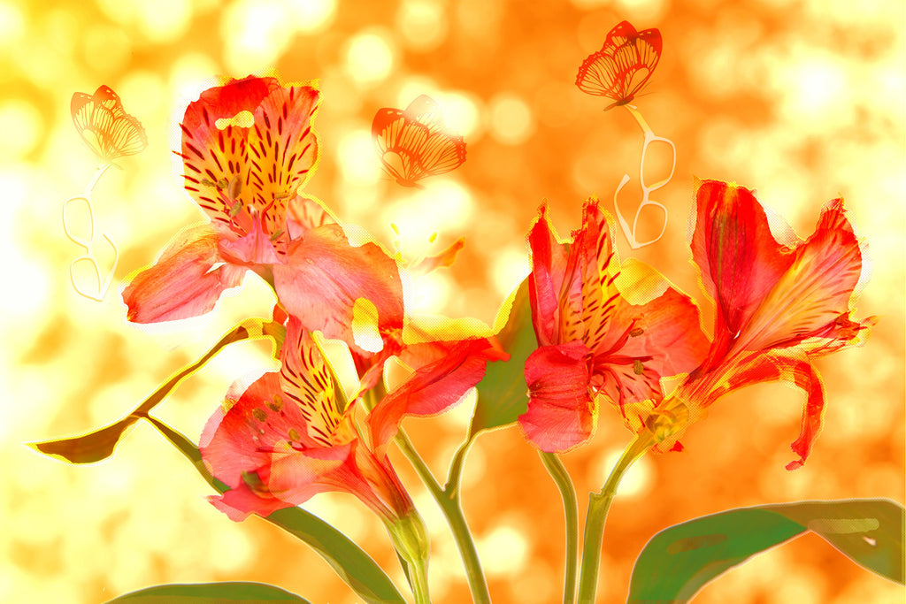 Wall Art     waiting room     sunshine     prints     Optometry     Optometrist     Opthalmology     Opthalmologist     Ophthalmology     Ophthalmologist     Office     metal     Glasses     frames     flowers     Eyes     colorful     Canvas     butterflies     art