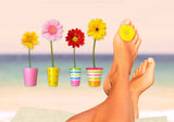water     Wall Art     waiting room     vibrant     surgical center     sand     roots     relaxing     prints     podiatry     podiatrist     PEACEFUL     office art     Office     ocean     modern     metal print     metal     foot doctor     flowers     flower pots     flower     floral     feet and flowers     feet     doctors office     colorful     cityscape     canvas print     Canvas     bright airy     bright     beach     art     airy