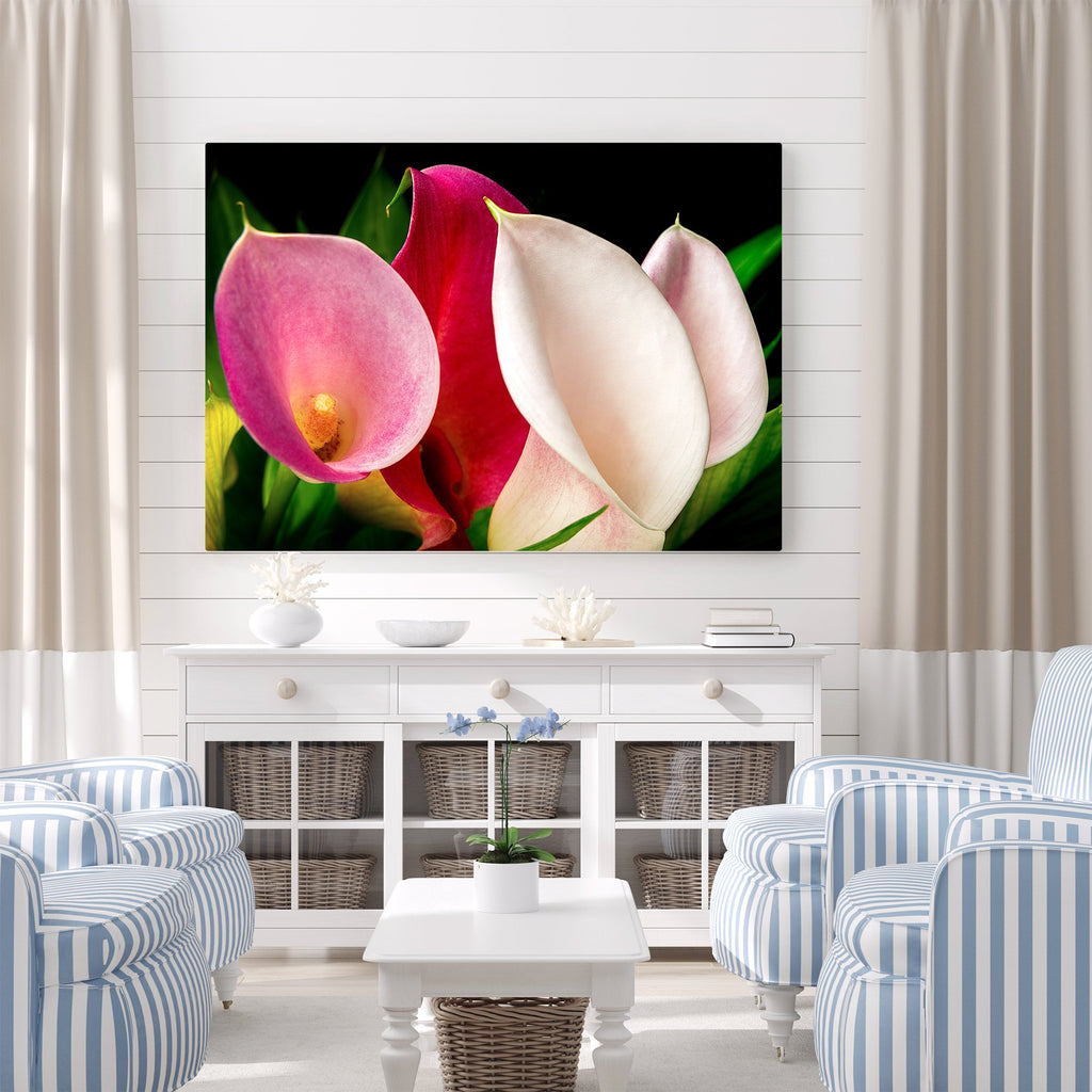 Lillies in a Gaggle