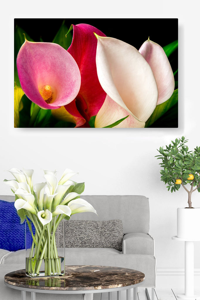 Lillies in a Gaggle