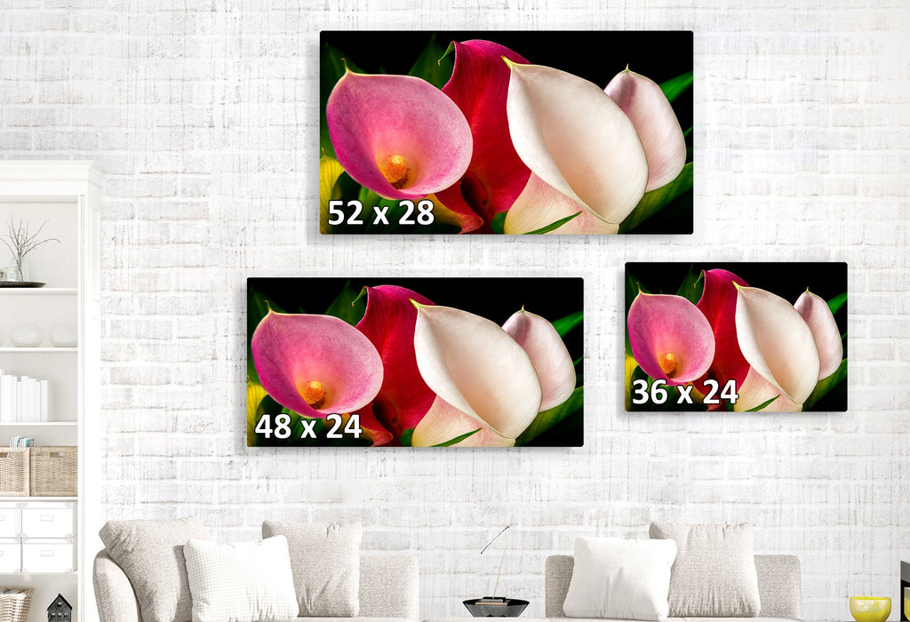 Lillies in a Gaggle