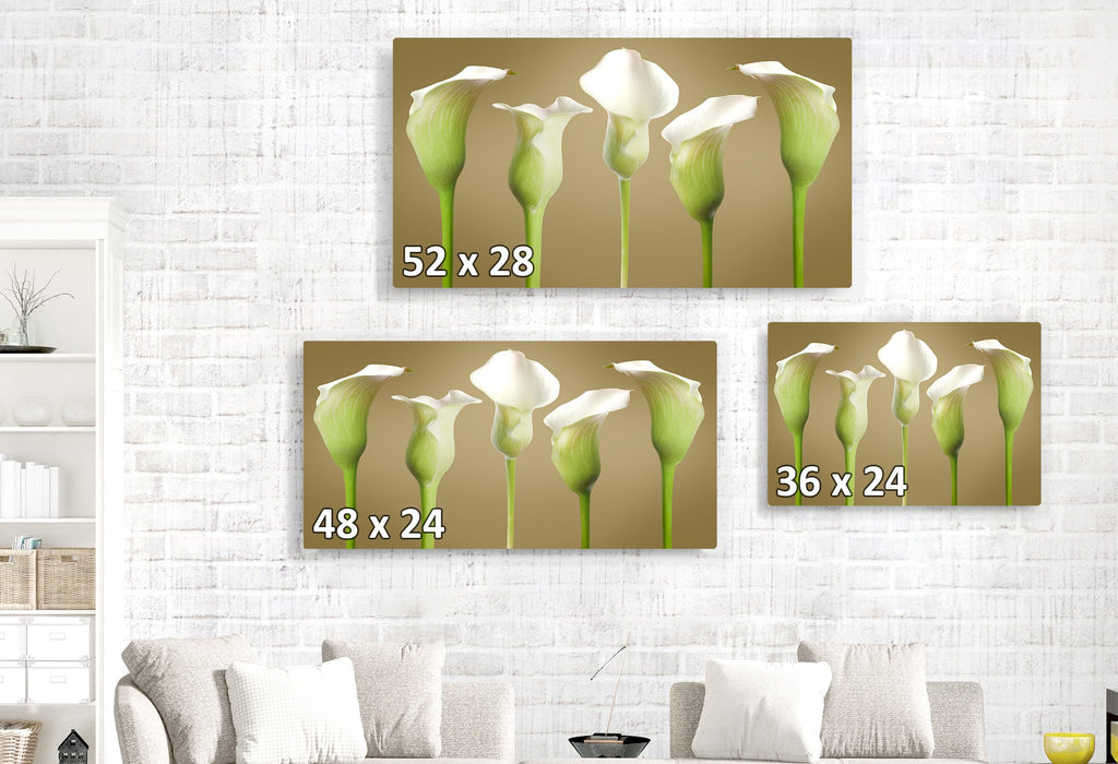 Calla Lillie's at Attention