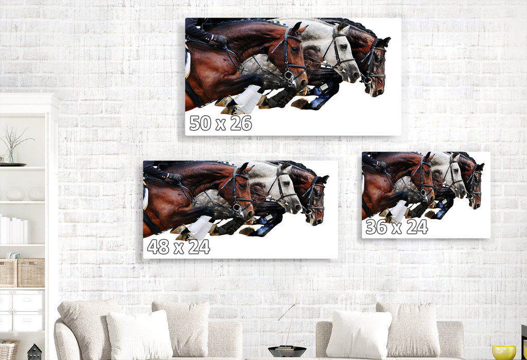 Horse Jump Trio on White