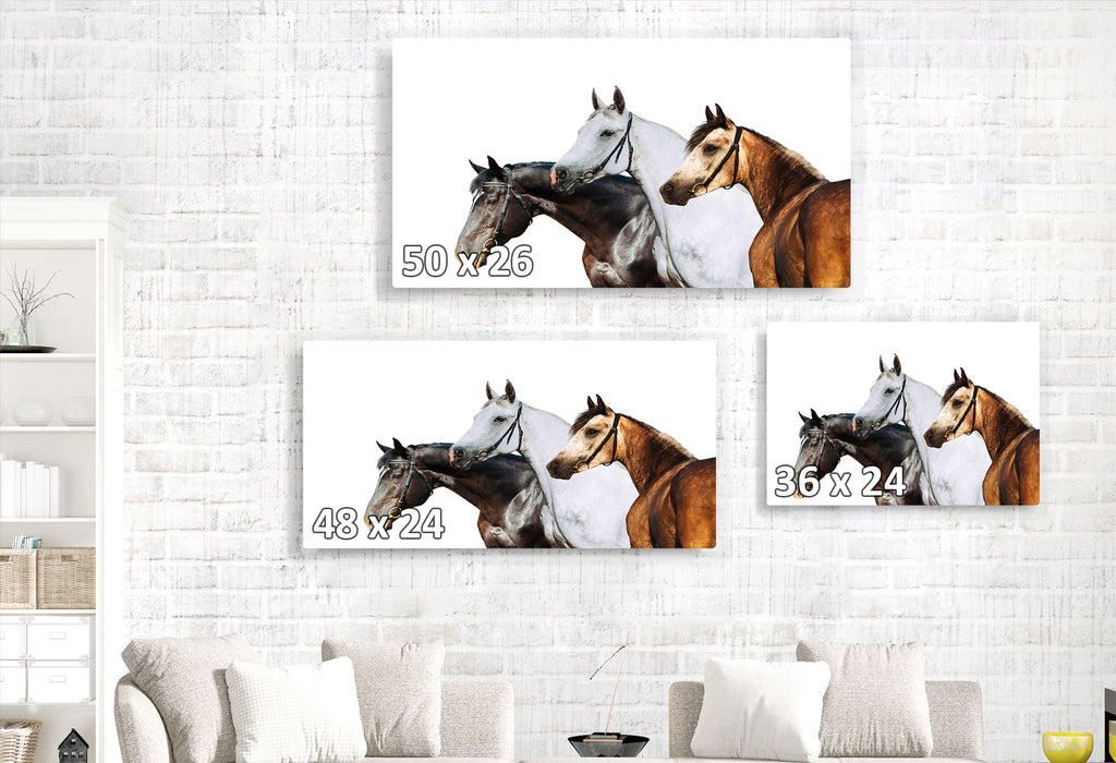 Three Horses Profile on White