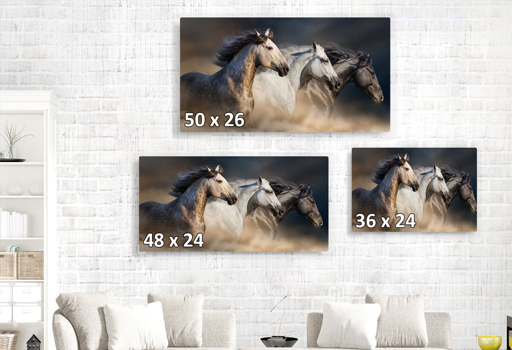 Horses Running in the Wind