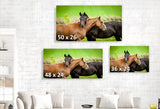 Horse Hugs in a Meadow