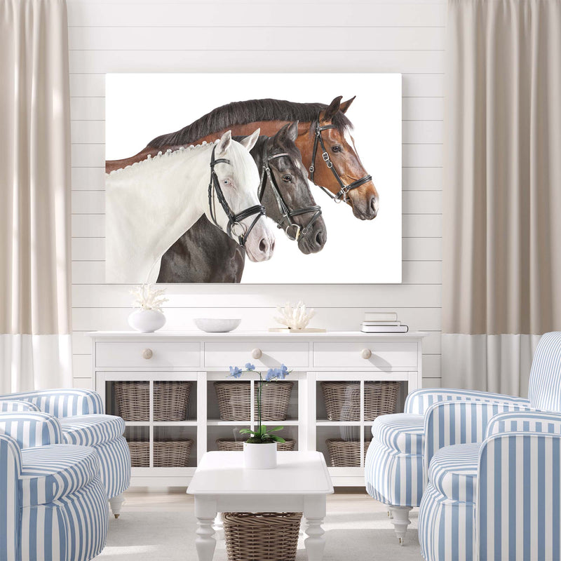 Horse Trio from Right
