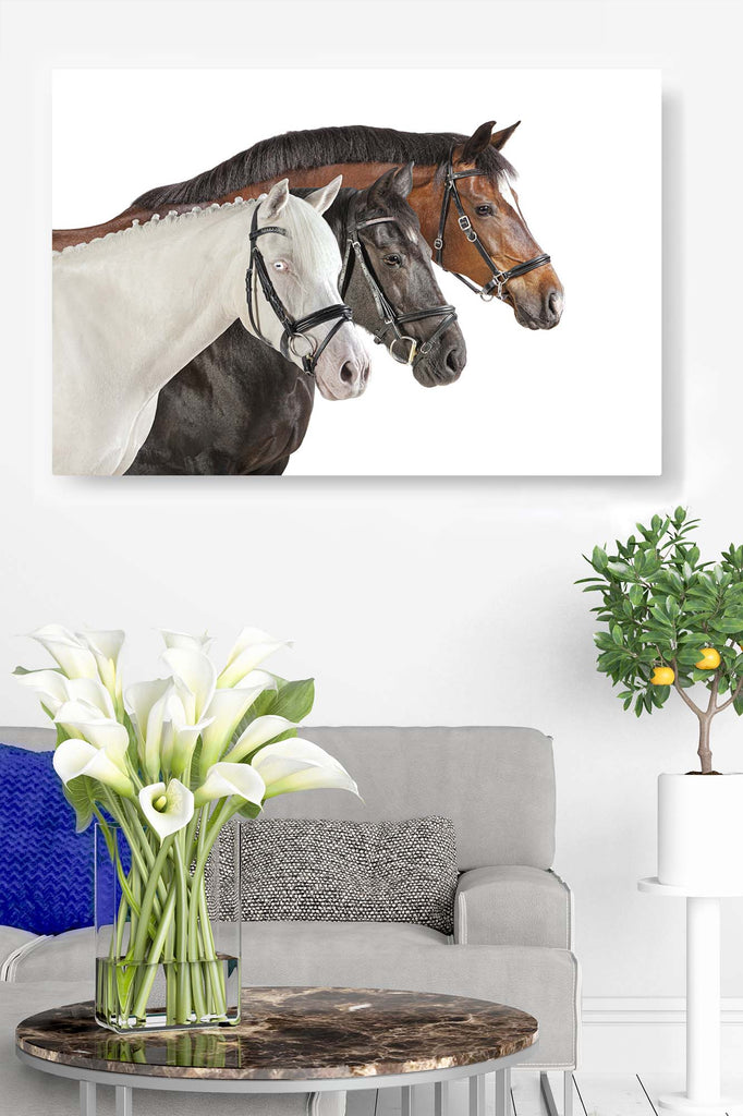 Horse Trio from Right