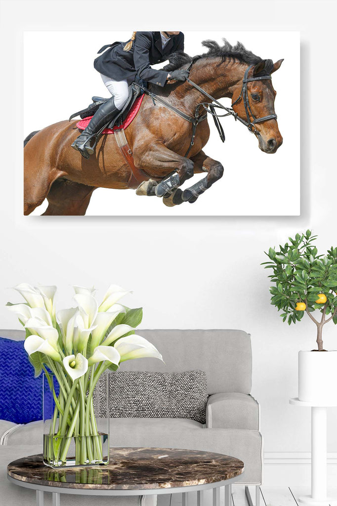 Horse Jumper from Right