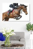 Horse Jumper from Right