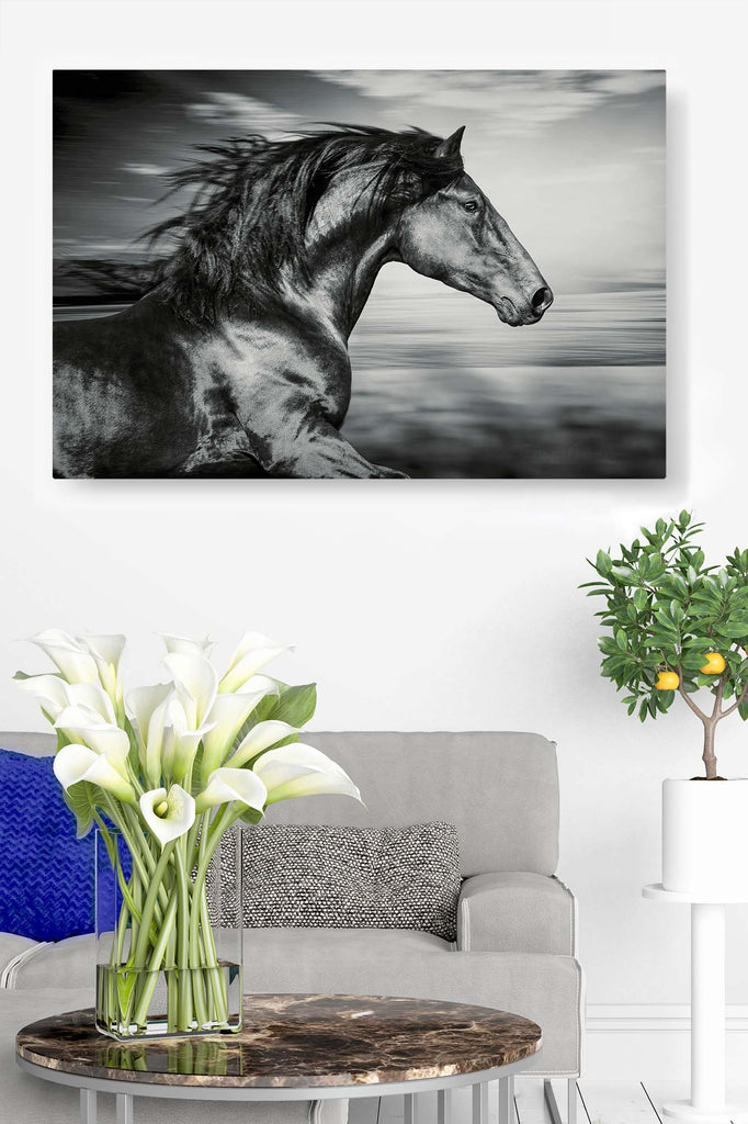 Black Horse Running in the Wind