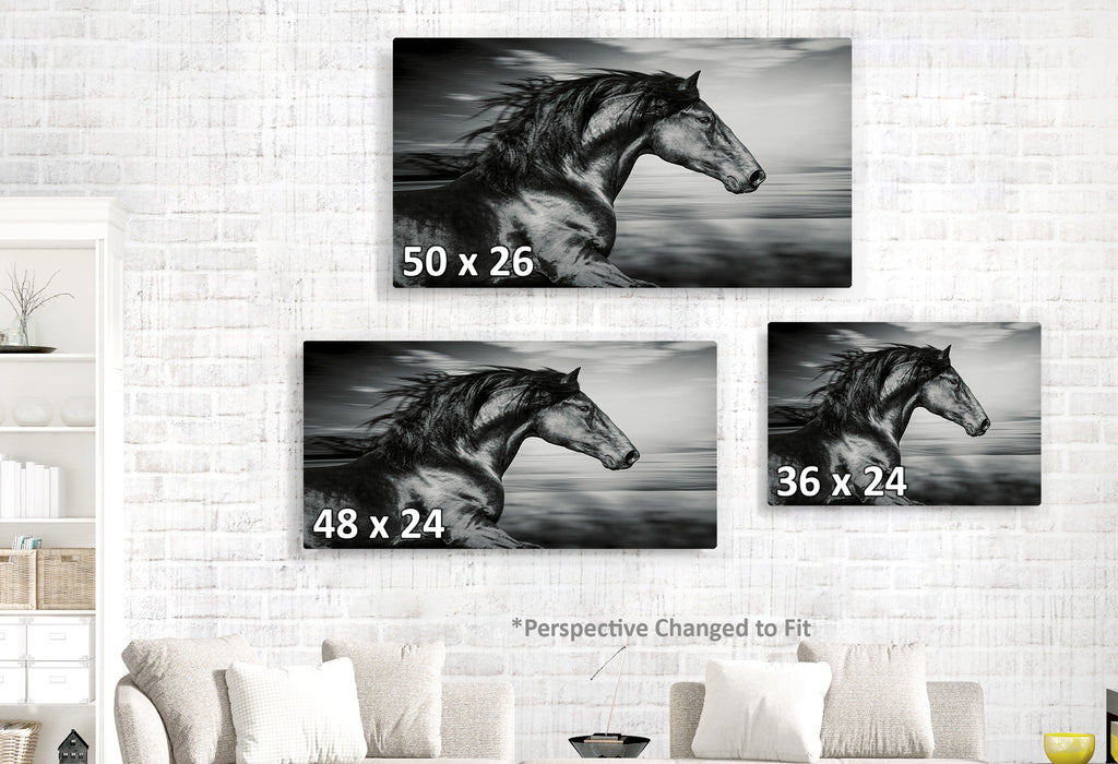 Black Horse Running in the Wind