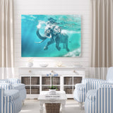 Elephant Splashdown