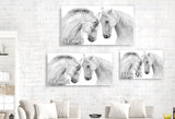 Pony Pals
