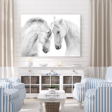 Pony Pals