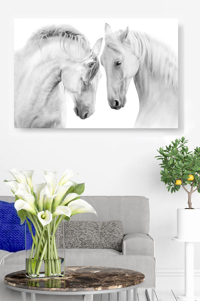 Pony Pals