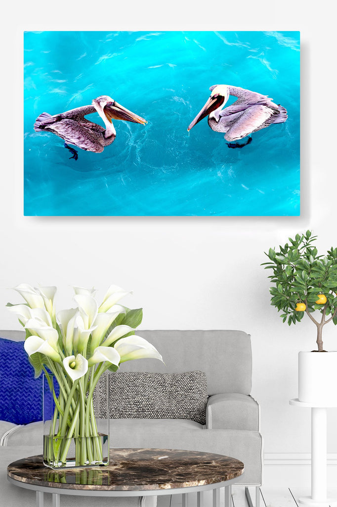 Pelican Couple