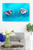 Pelican Couple