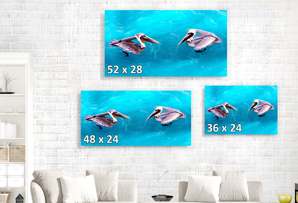 Pelican Couple