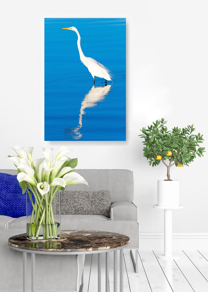 No Regret Great Egret in Blue Water